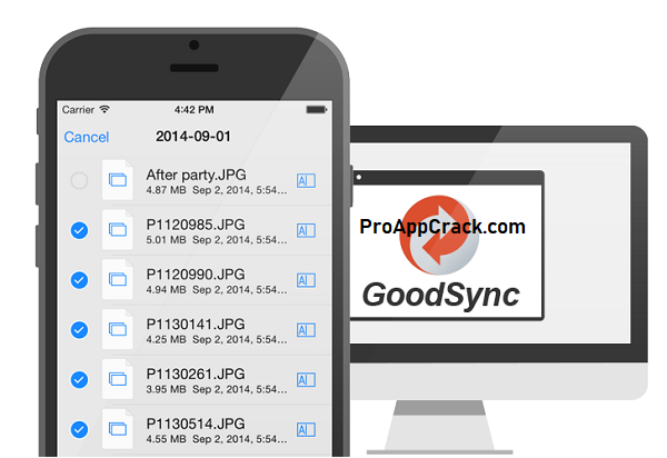 GoodSync Versión parcheada con clave de licencia [2025]